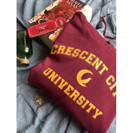 Sweat-shirt à capuche CC University