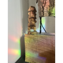 Suncatcher Horror reader