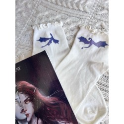 Chaussettes Dragons 2